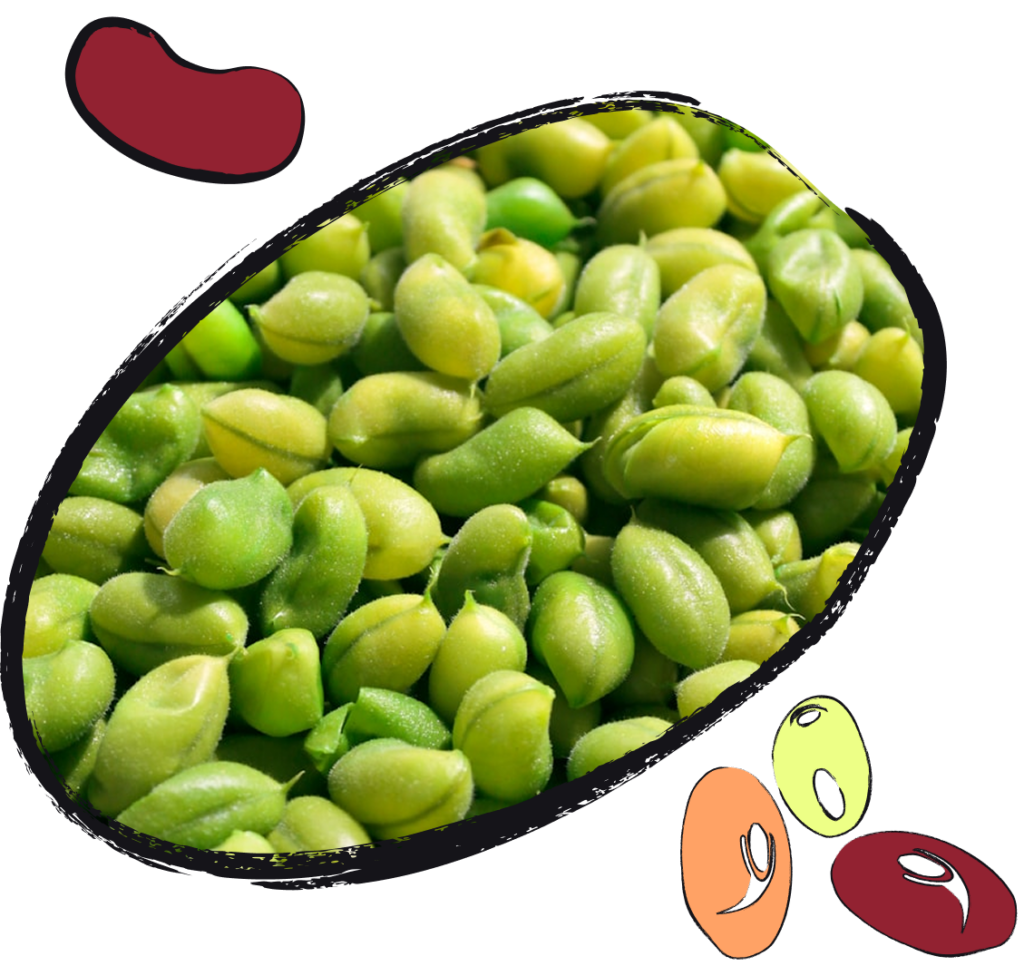Fresh green beans in a bowl