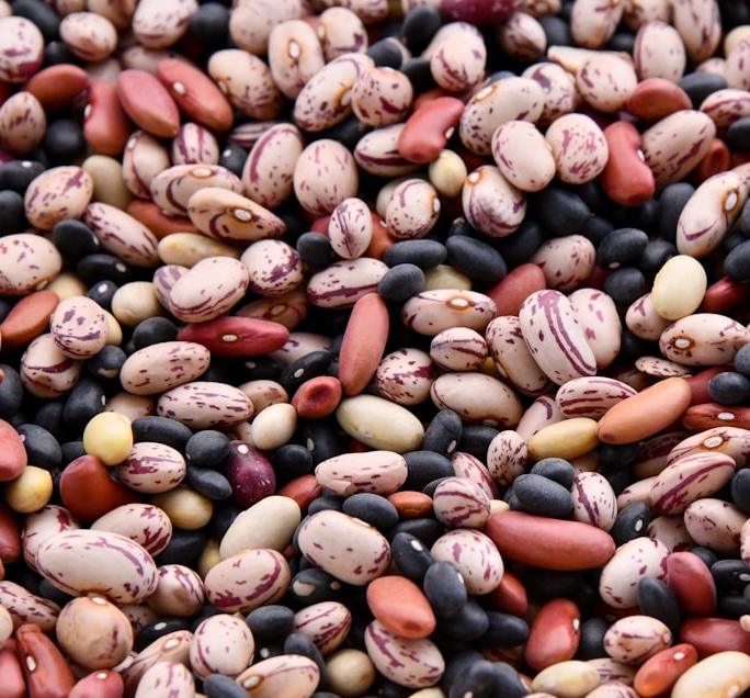 Assortment of dried beans